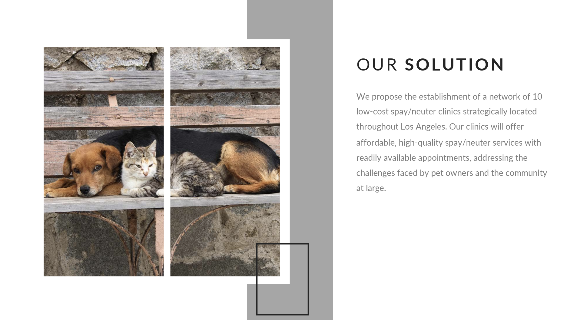 spay_la_solution